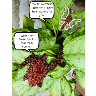 I can see something there. - 2