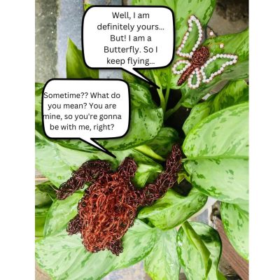 I can see something there. - 4